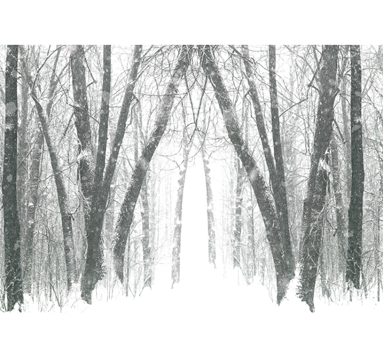 Fotomurale foresta sentiero forestale innevato - TenStickers