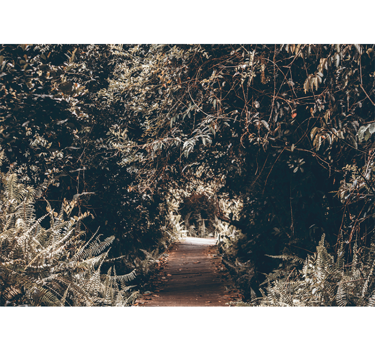 Fotomurali natura sentiero nella foresta - TenStickers