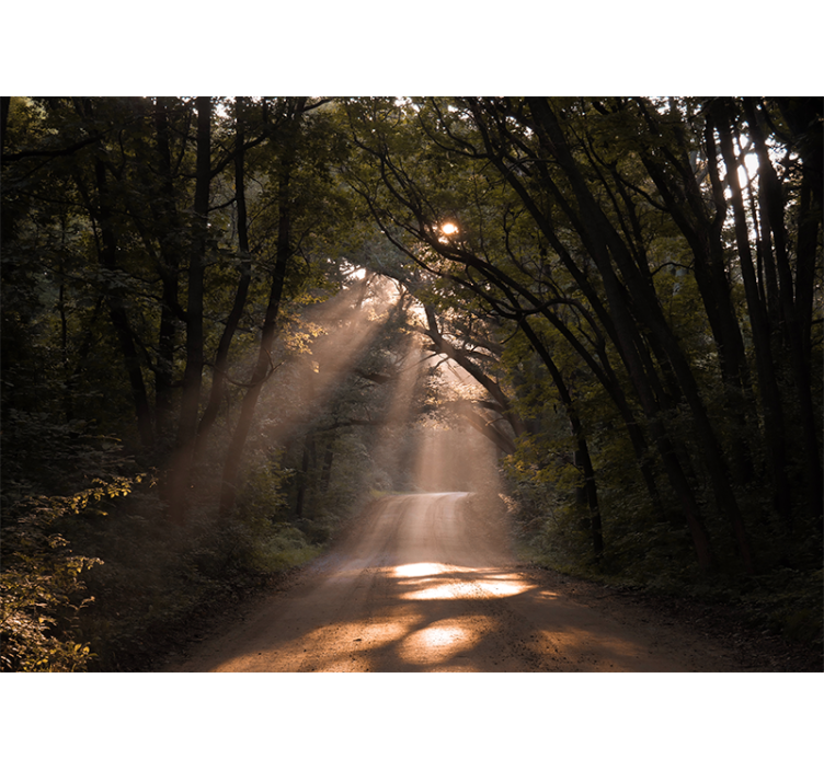 Carta da parati natura sentiero boscoso radioso - TenStickers