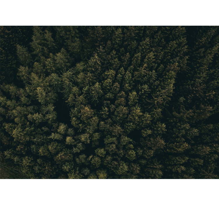 Fotomurali natura tetto verde lussureggiante - TenStickers