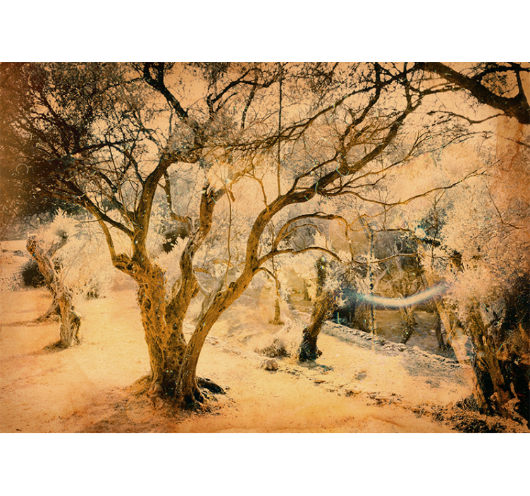 Fotomurale foresta ulivi d'oro - TenStickers