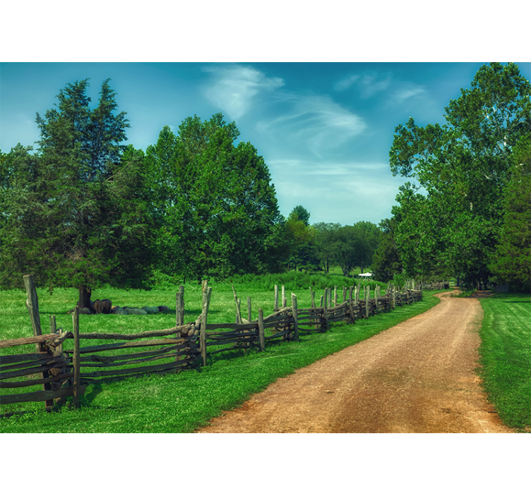 Fotomurale paesaggi sentiero verde vibrante - TenStickers