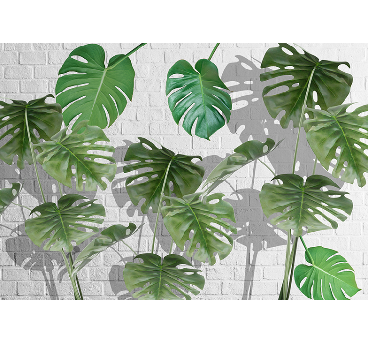 Carta da parati natura composizione foglie monstera - TenStickers