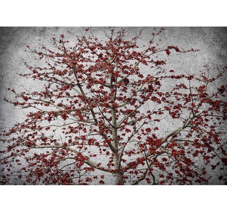 Fotomurale fiori albero in fiore rosso - TenStickers
