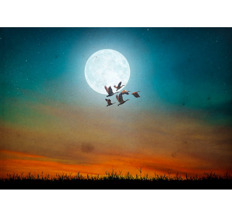 Fotomurali natura cielo notturno di luna - TenStickers