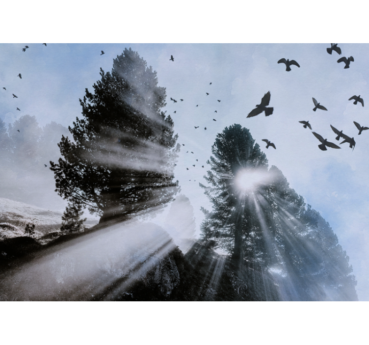 Fotomurale foresta raggi di sole radianti con uccelli - TenStickers