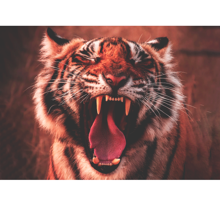 Fotomurali animali diversi ruggito del tigre maestoso - TenStickers