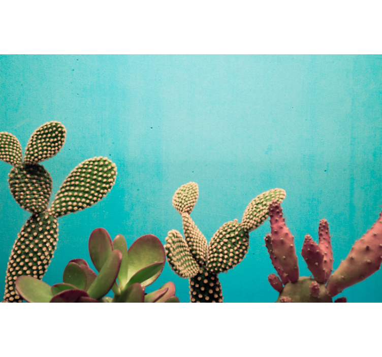Fotomurale con i cactus e le piante - TenStickers