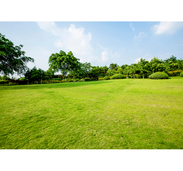 Fotomurali natura panorama di prati verdeggianti - TenStickers