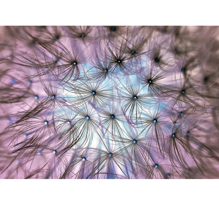 Fotomurale fantasia delirio del dente di leone - TenStickers