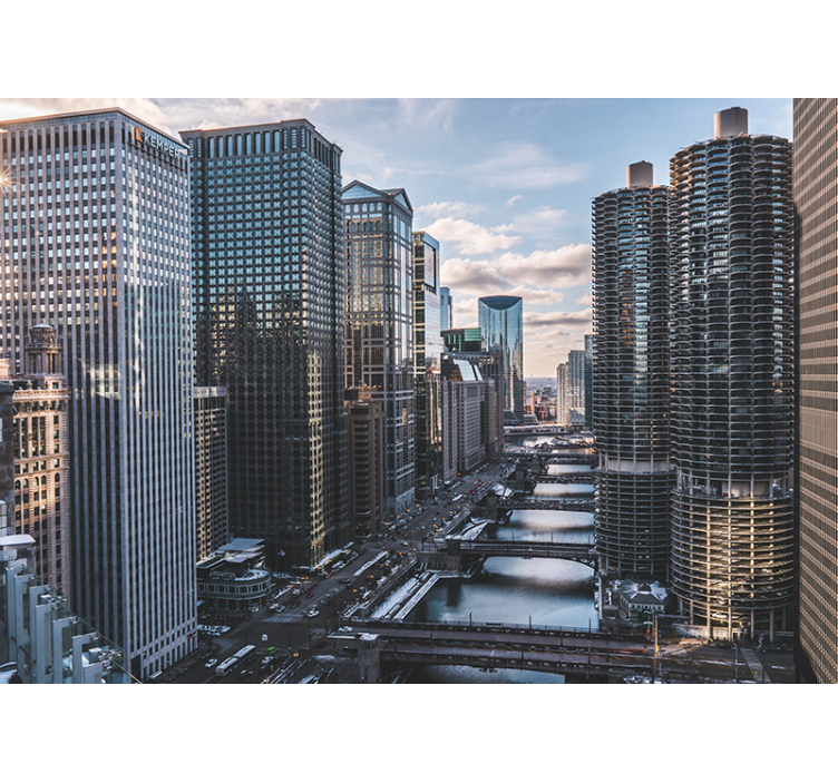 Fotomurale città vista skyline di chicago - TenStickers