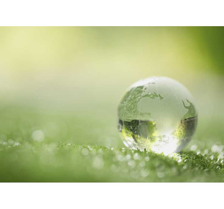 Fotomurali natura globo sull'erba - TenStickers