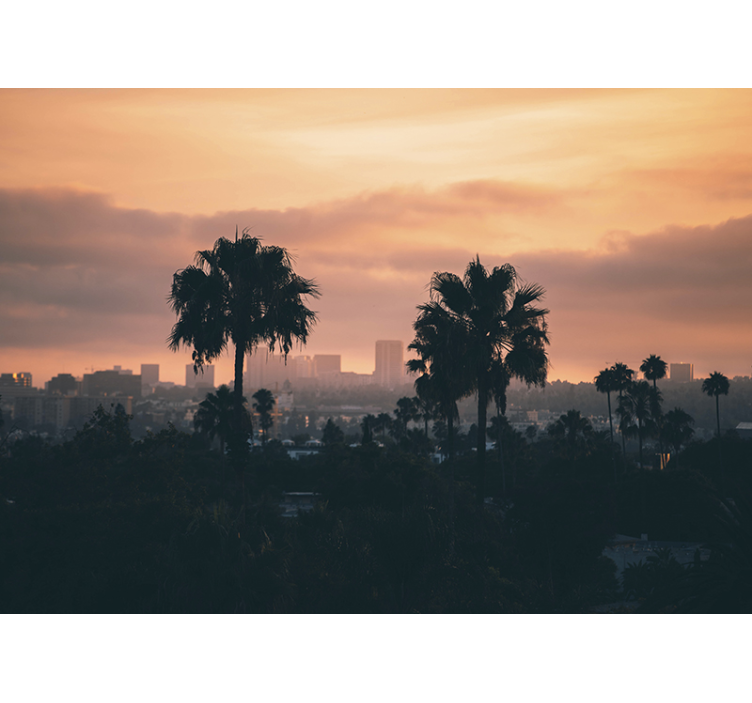 Carta da parati tramonto di los angeles - TenStickers