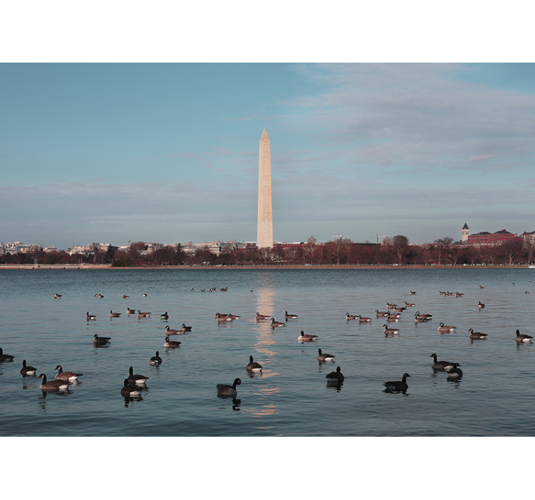Fotomurale città riflesso del monumento di washington - TenStickers