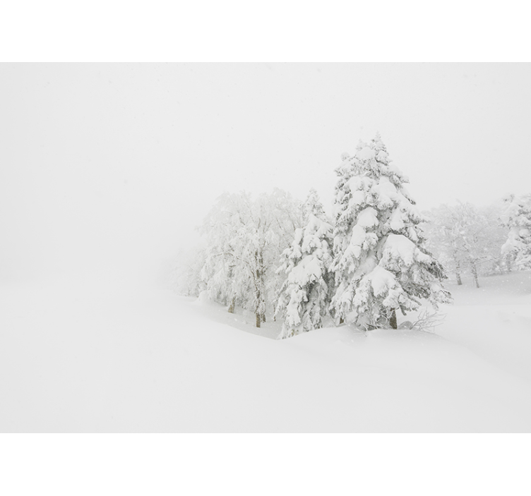 Fotomurali natura paesaggio invernale nel bosco - TenStickers