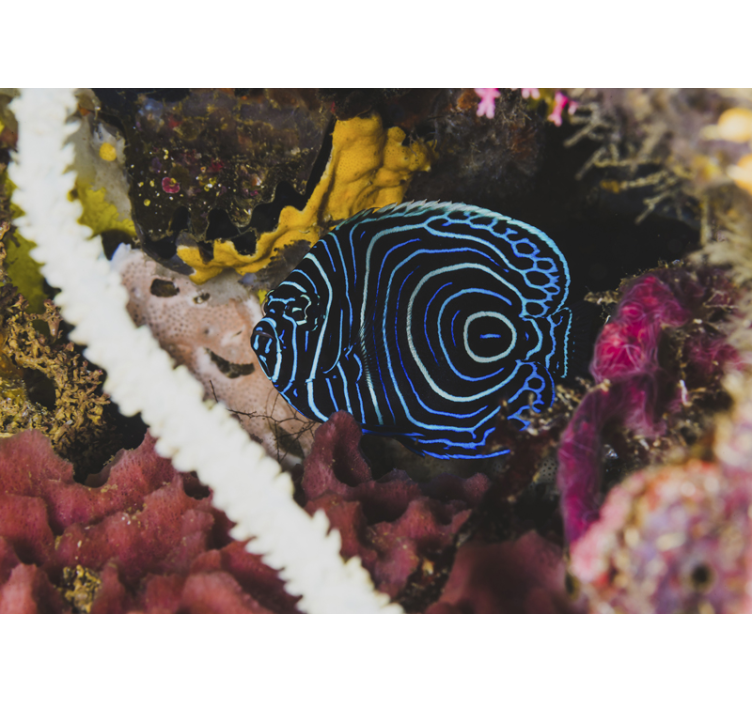 Fotomurale animali motivi di pesci blu - TenStickers