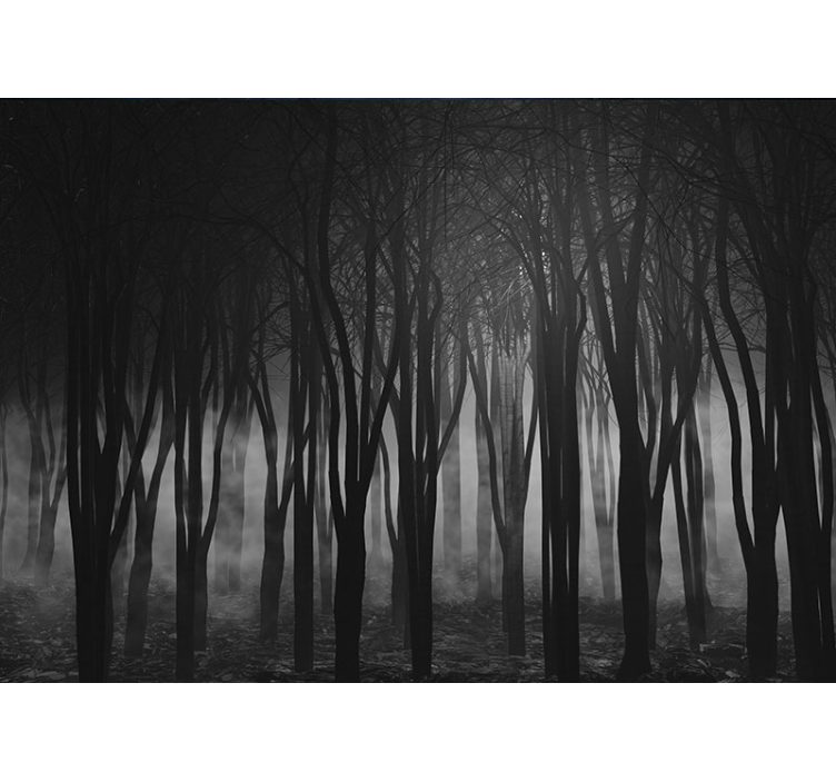 Fotomurale con foresta con nebbia - TenStickers