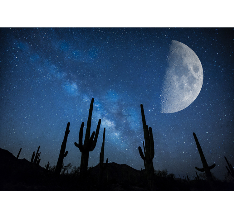 Fotomurale paesaggi cielo notturno di cactus - TenStickers
