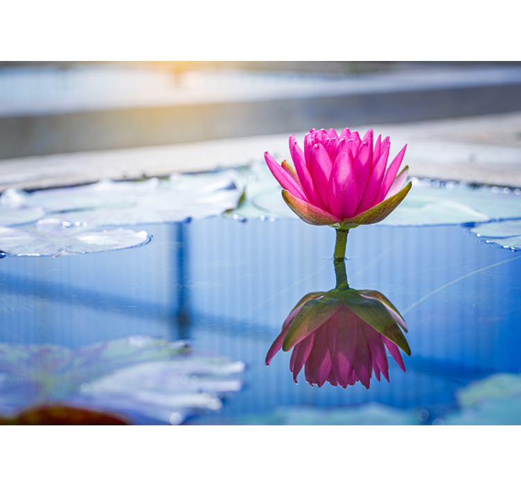 Fotomurale ambienti zen tranquillità fiore di loto - TenStickers