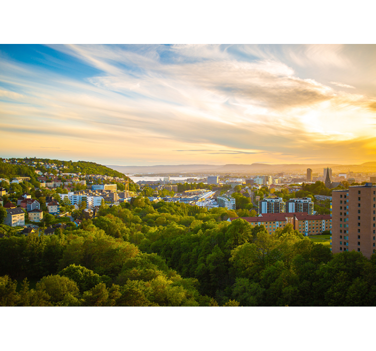 Fotomurale città vista del paesaggio urbano - TenStickers