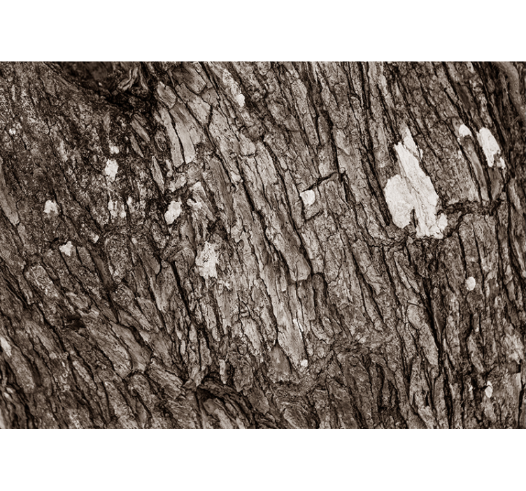 Fotomurali textures corteccia d'albero texturizzata - TenStickers