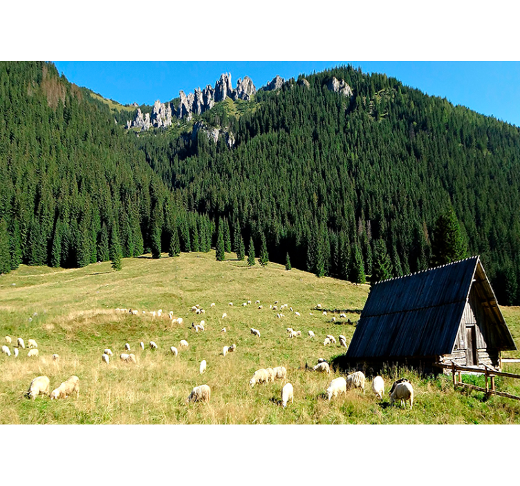 Fotomurale paesaggi scena di vegetazione montuosa - TenStickers