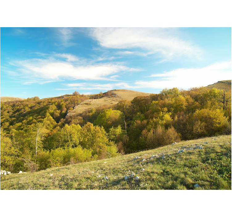 Fotomurale paesaggi colline ondulate - TenStickers