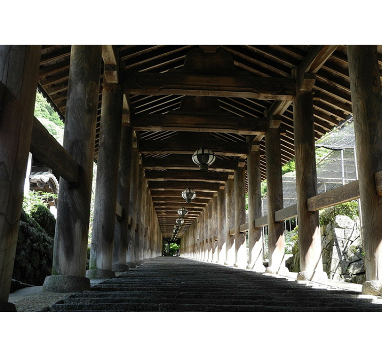 Fotomurale foresta vista sentiero di legno - TenStickers