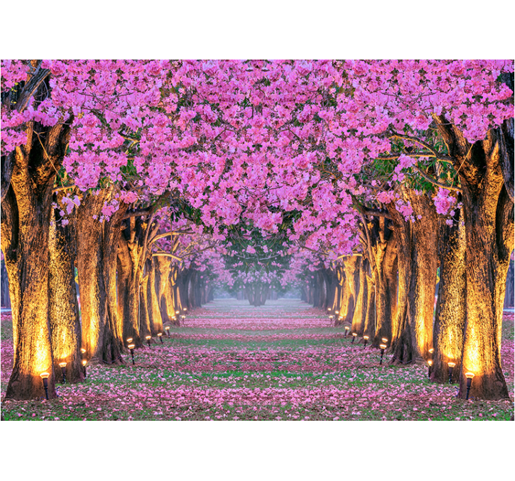 Fotomurali fiori diversi sentiero rosa fiorito - TenStickers