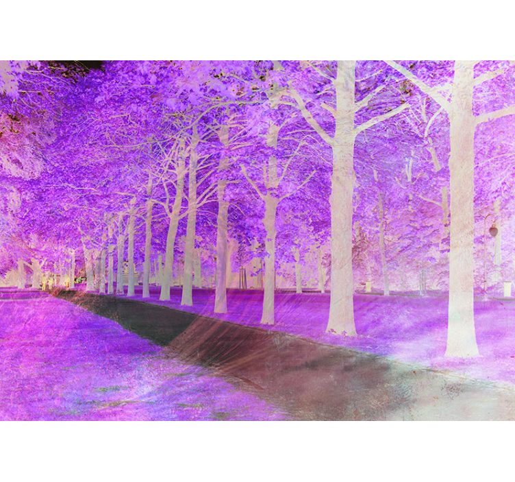 Fotomurali natura sentiero verde lussureggiante - TenStickers