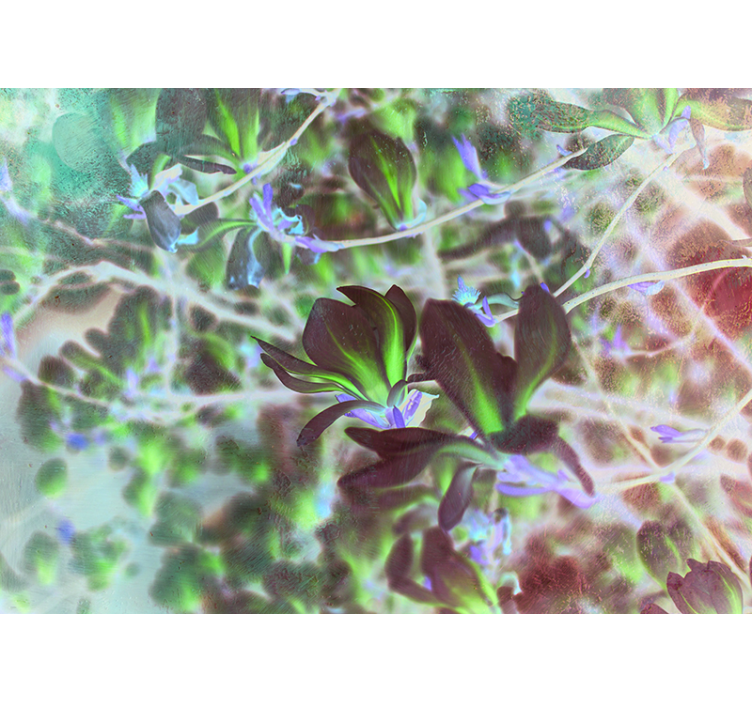 Fotomurale orchidee esplosione di fiori di magnolia - TenStickers