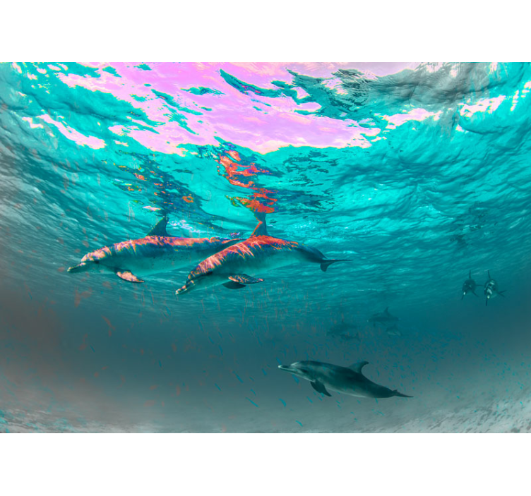 Fotomurale animali delfini che nuotano gioiosamente - TenStickers