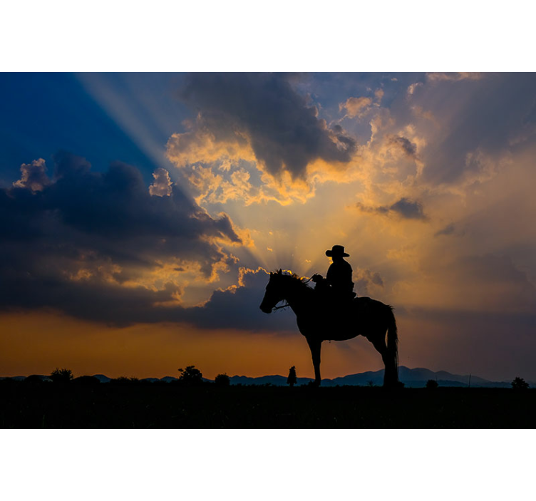 Fotomurale animali cavaliere su cavallo - TenStickers