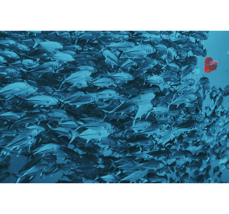 Fotomurale animali scuola di pesci sott'acqua - TenStickers