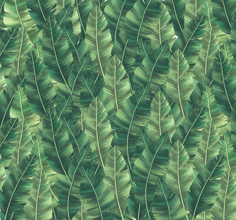 Fotomurali natura foglie grandi - TenStickers