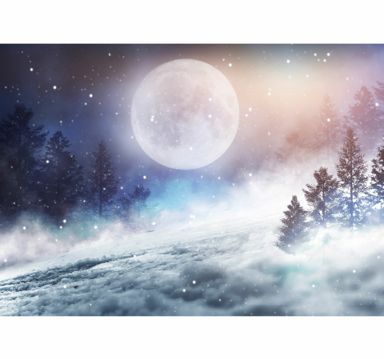 Fotomurale con foresta e notte stellata - TenStickers