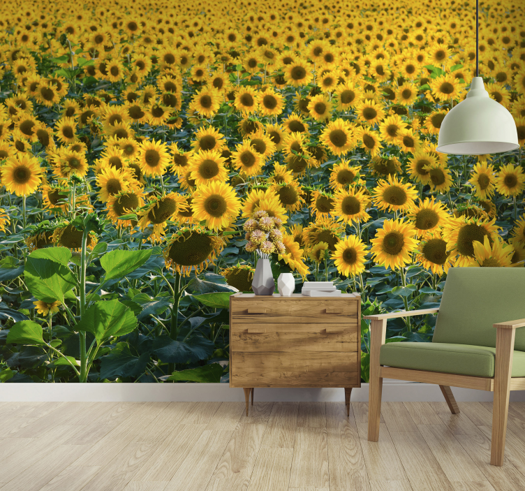 Fotomurale con enorme campo di girasoli - TenStickers