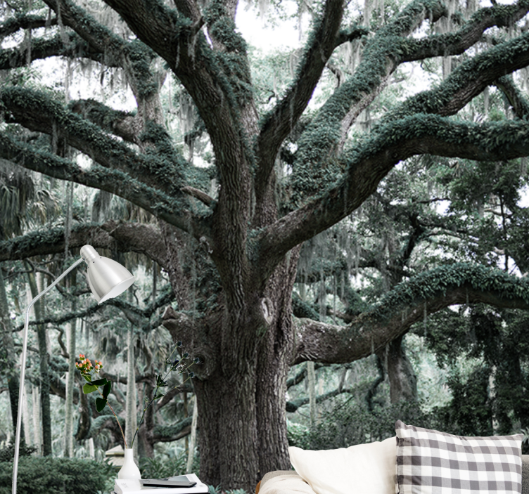 Fotomurale alberi maestosi rami di quercia - TenStickers