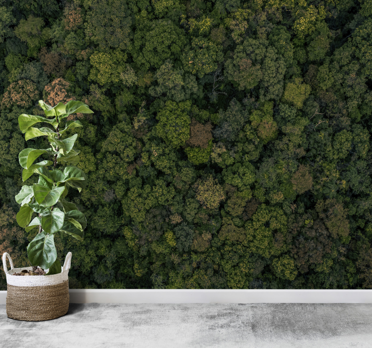 Fantastico fotomurale con siepe verde - TenStickers