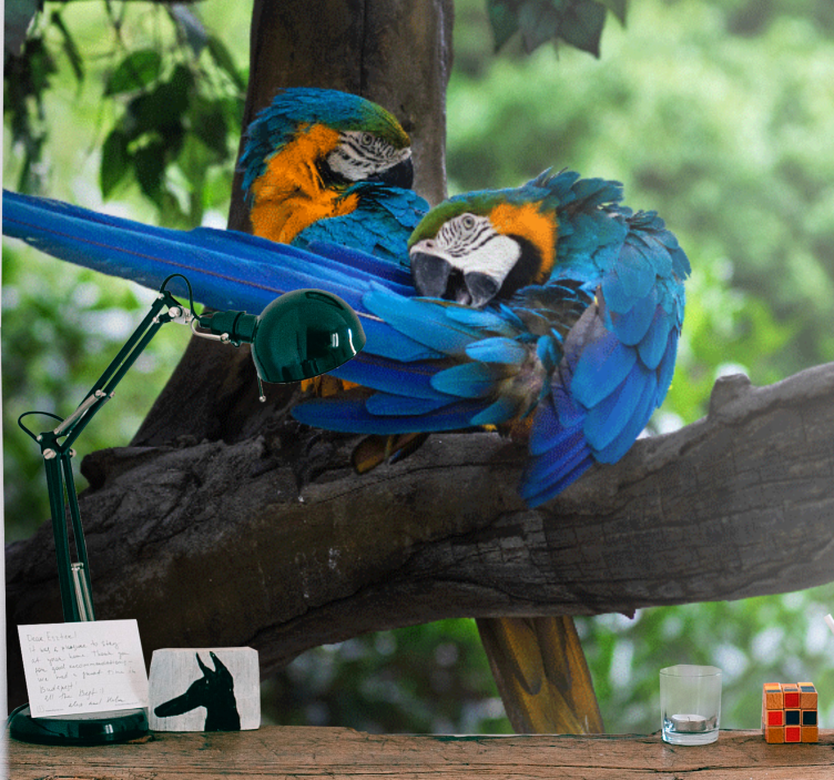 Fotomurale animali coppia di pappagalli colorati - TenStickers