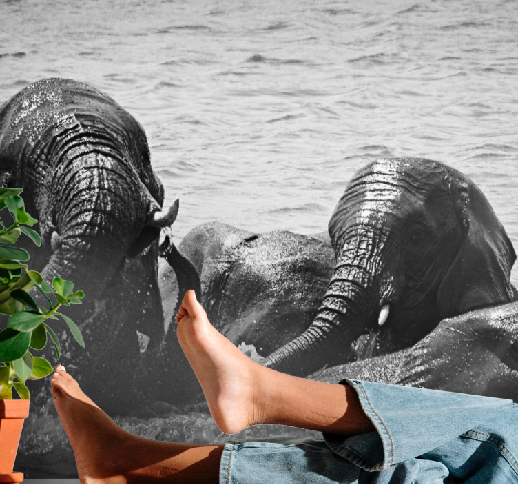 Fotomurale animali elefanti in liquido - TenStickers