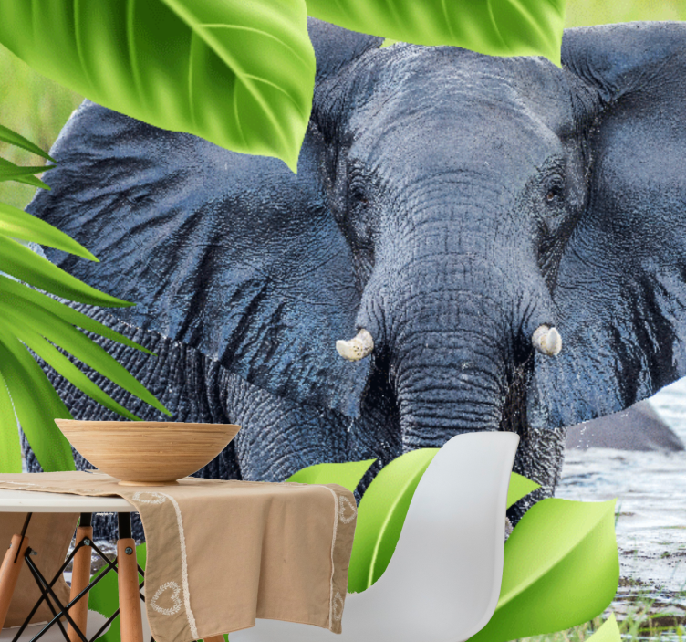 Fotomurale animali esperienza dell'elefante regal - TenStickers