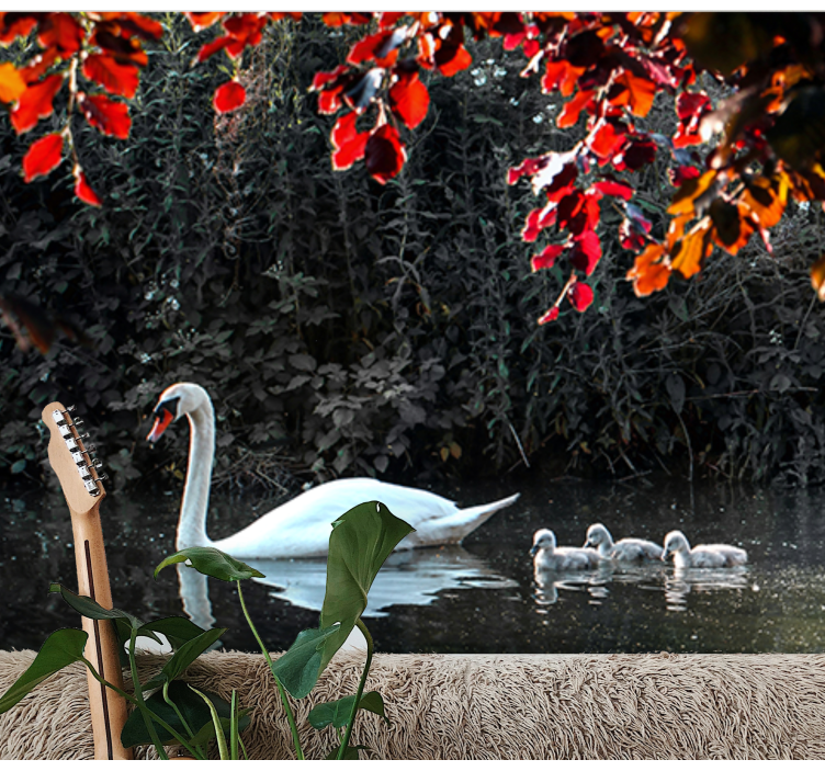 Fotomurale animali famiglia di cigni eleganti - TenStickers