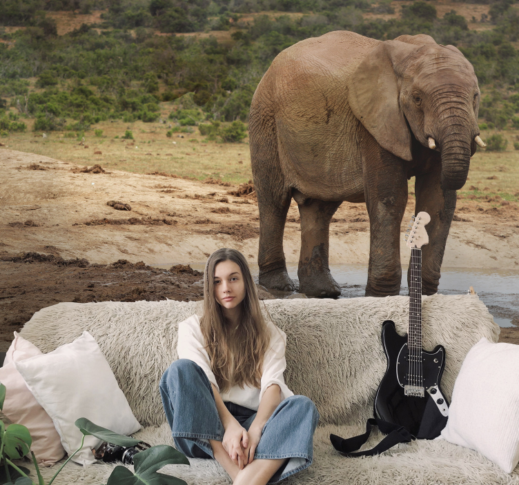 Fotomurale animali incontro con l'elefante - TenStickers