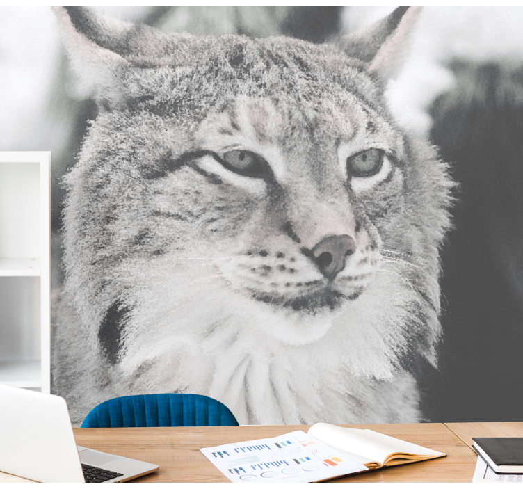 Fotomurale animali lince dallo sguardo intenso - TenStickers