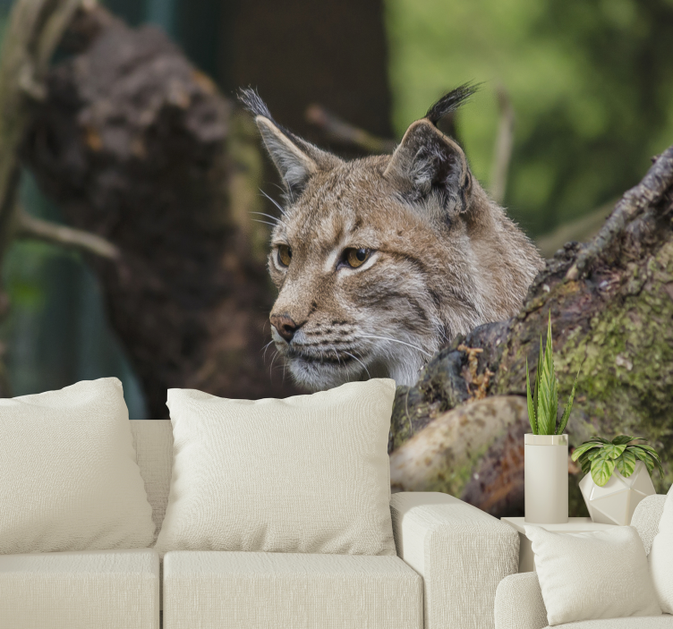 Fotomurale animali lince in natura - TenStickers