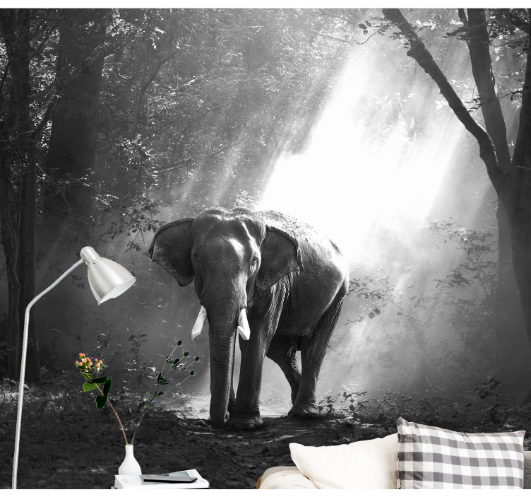 Fotomurale animali maestoso incontro con l'elefante - TenStickers