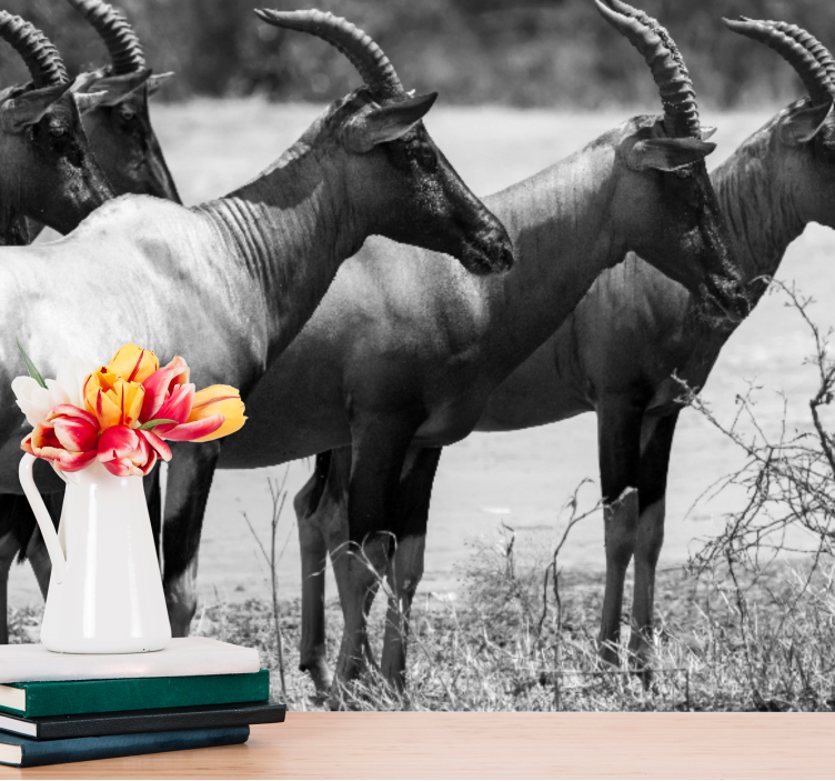 Fotomurale animali mandria di antelopi africani - TenStickers