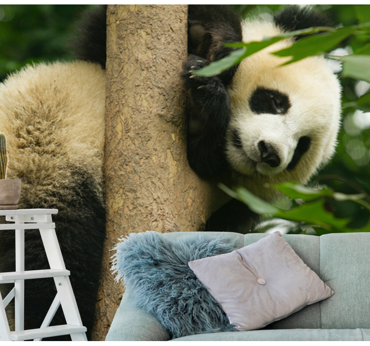 Fotomurale animali panda che si arrampica sull'albero - TenStickers