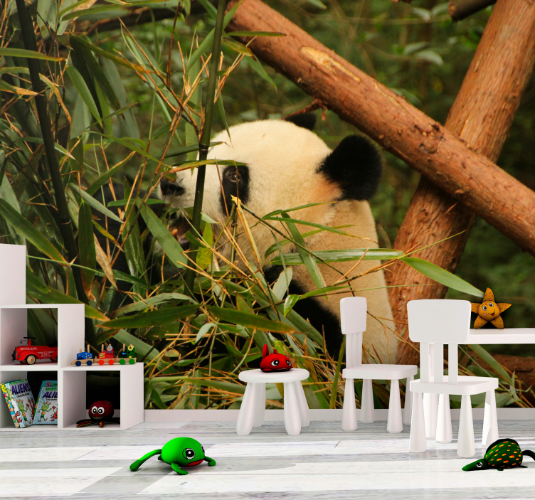 Fotomurale animali panda tra i bambù - TenStickers